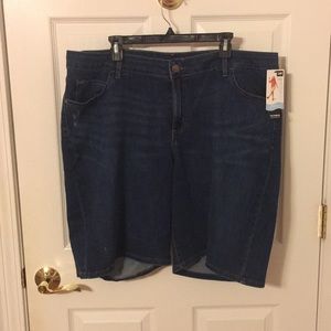 Lee distressed women’s shorts size 20W